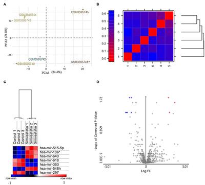 MicroRNAs hsa-miR-618 and hsa-miR-297 Might Modulate the Pleiotropic Effects Exerted by Statins in Endothelial Cells Through the Inhibition of ROCK2 Kinase: in-silico Approach